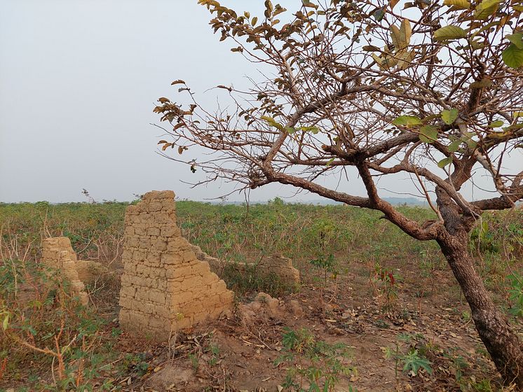 Ruins_of_a_mud_brick_structure