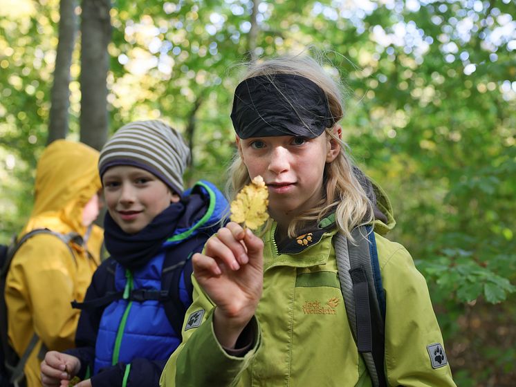 Louisenlund Forschercamp MINT Akademie Grundschule