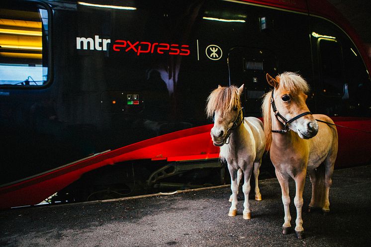 MTR Express kör "Hästtåget"