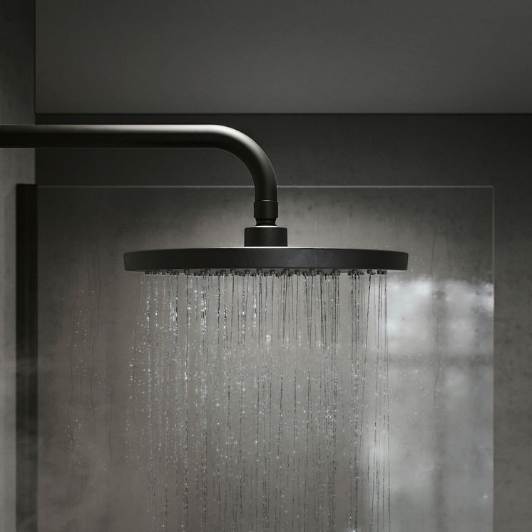 Habo_Magnolia black_ceiling shower set_2