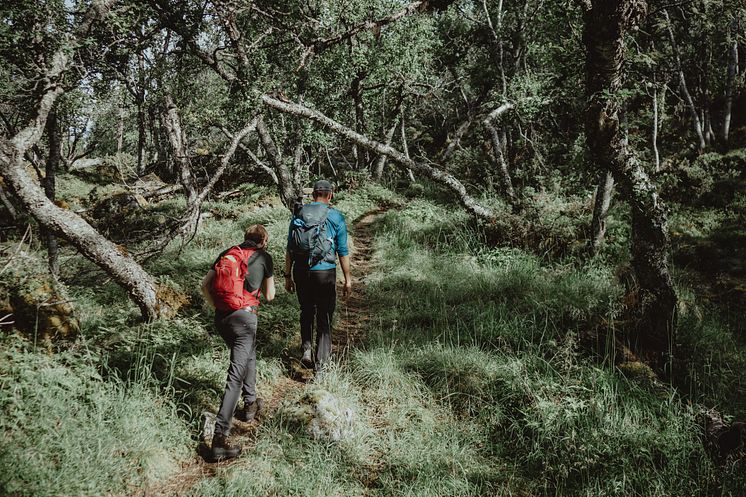 Hiking