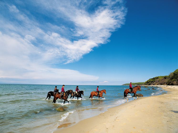 Reiten am Strand auf der Insel Rügen_1 Horse riding at the beach on the island Rügen_1