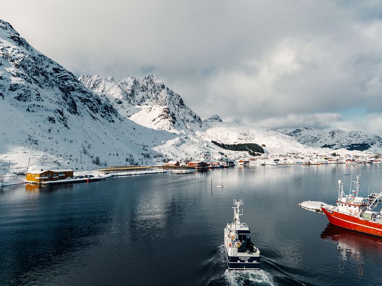 Lofoten fishing