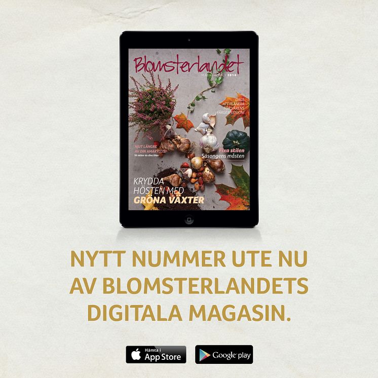 Nytt nummer ute nu av Blomsterlandets Digitala Magasin!