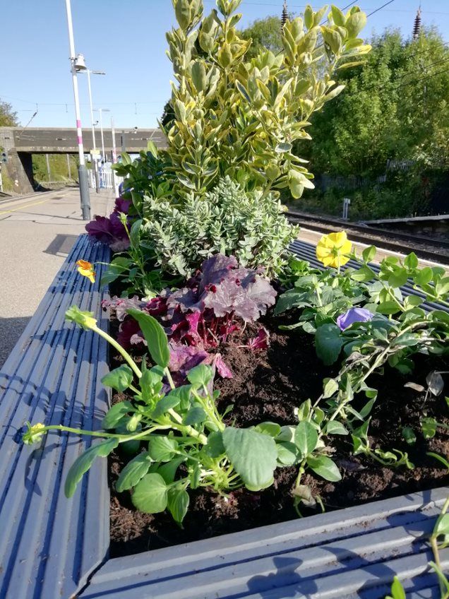 Harlington station garden event