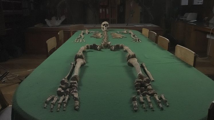 Skelett från en man i en grav i Téviec