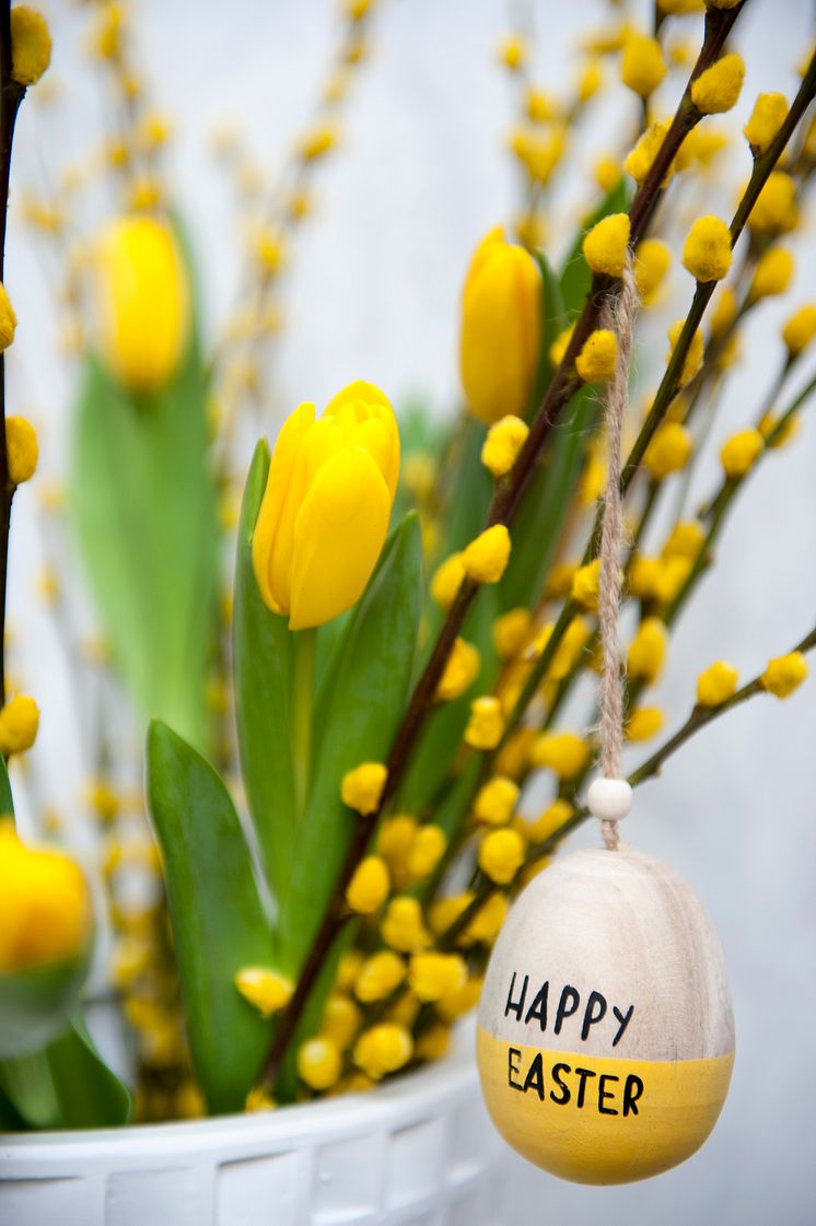 Glad påsk med svenska tulpaner!