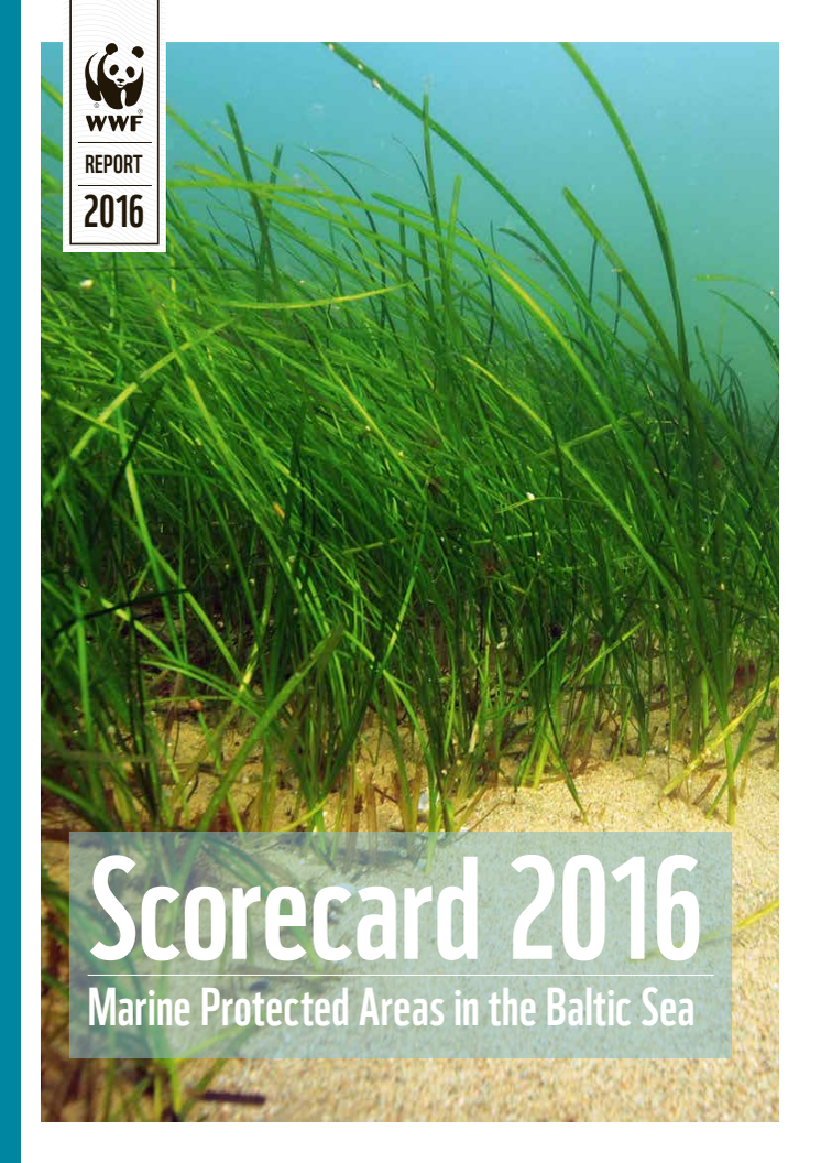 MPA Scorecard 2016
