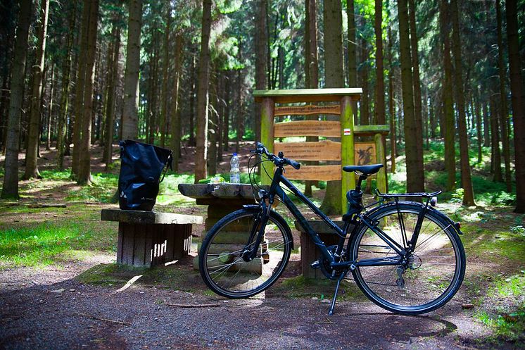 Rast auf dem Mulderadweg