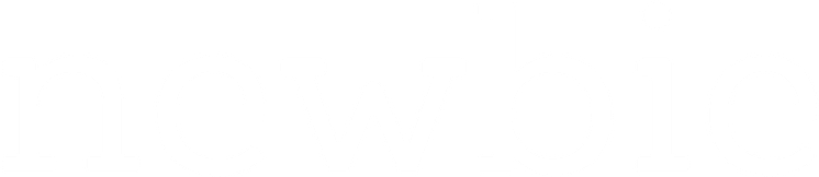 Newbie_logo_v4_RGB_NEG.png