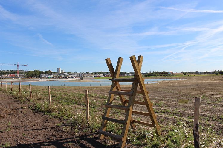 Råbysjön och Råby sjöpark, beteshage med Södra Råbylund i bakgrunden