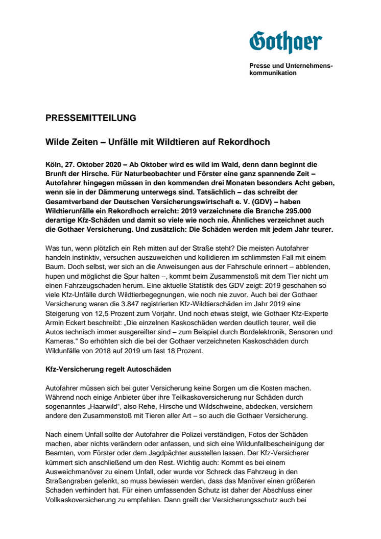 Wilde Zeiten – Unfälle mit Wildtieren auf Rekordhoch