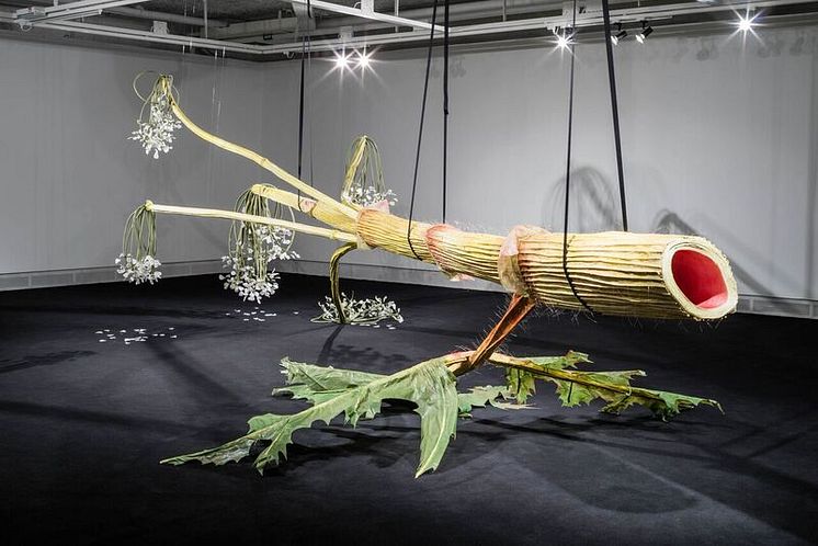 Ingela Ihrman, installation view of The Giant Hogweed, 2015, Future Flourish, Tensta Konsthall, Stockholm