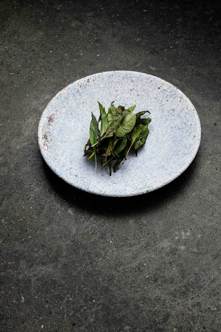 Relæ Trout and dried ramson leaves