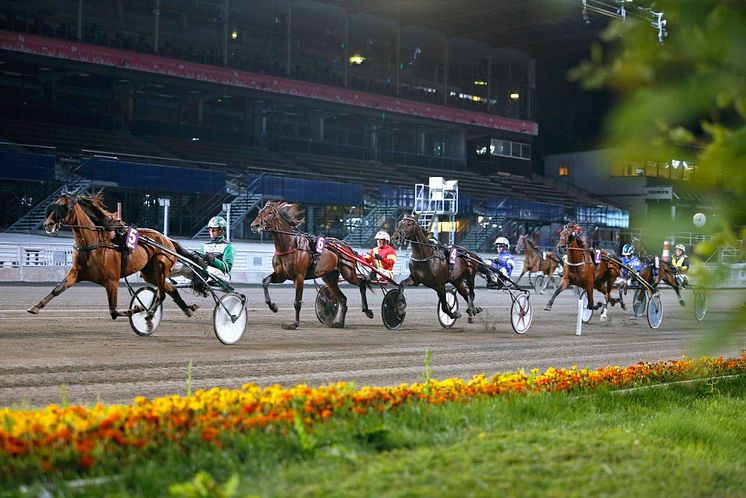 Solvalla, Foto Maria Holmén ATG