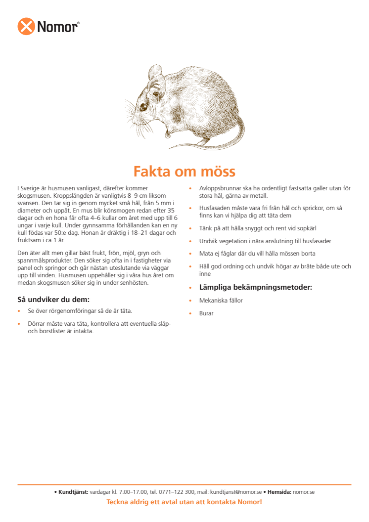 Fakta om möss