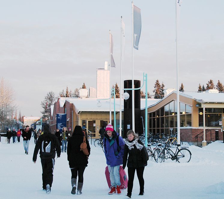 Luleå tekniska universitet på grön kvist