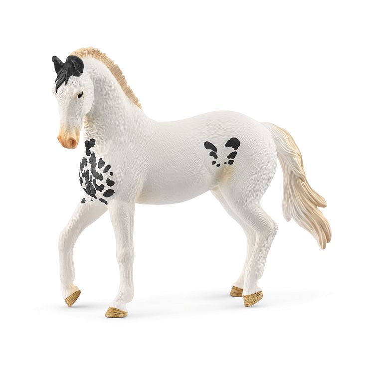 14898_Horse Club_Marwari Hengst_(c)schleich®