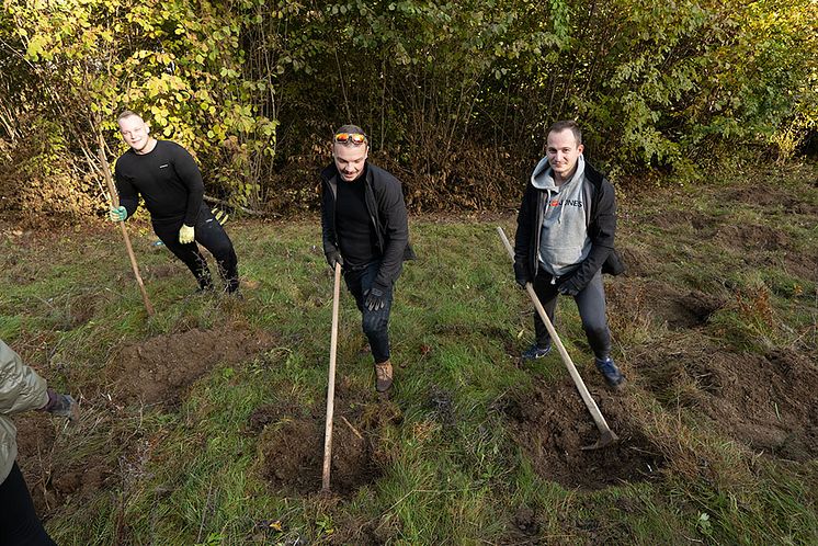 JYSK-plants-20000-trees-in-Rosia-Montana-(2).jpg