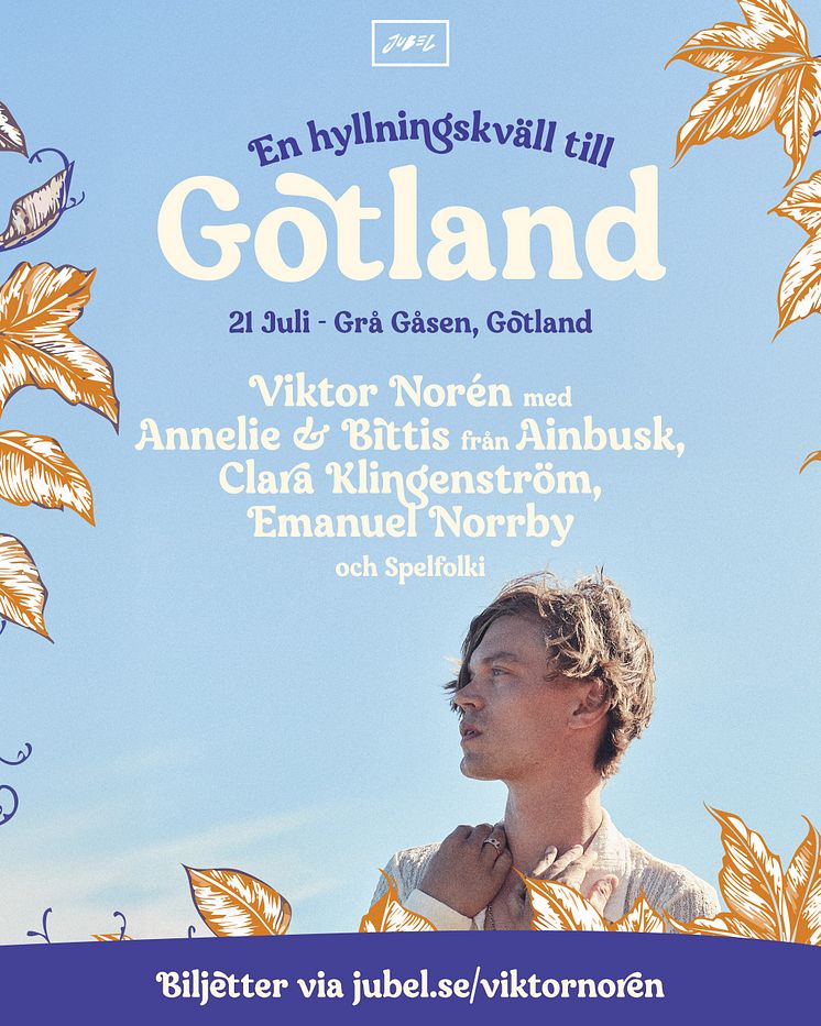 Gotland_Visby-ViktorNoren.jpg