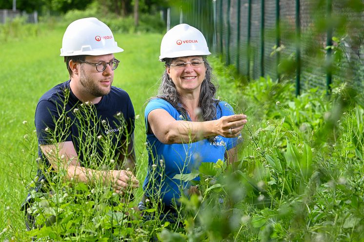 Veolia_Biodiversität Kläranlage Bad Münder_Matthias Kisser_Britta Raabe_Foto H. Rebsch