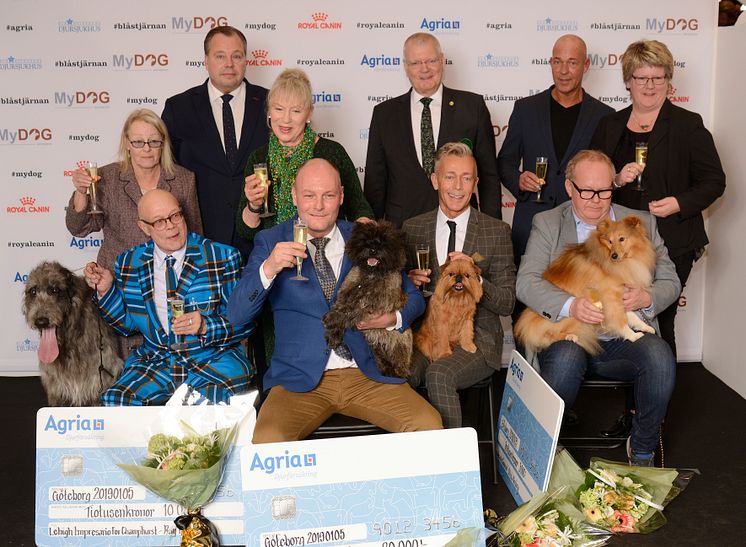 Finalisterna Årets utställningshund 2018