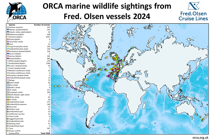 ORCA Fred. Olsen marine wildlife sightings 2024.png
