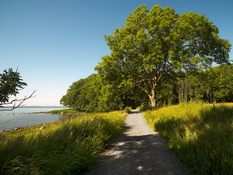 View of Jeløya, Moss, Norway.