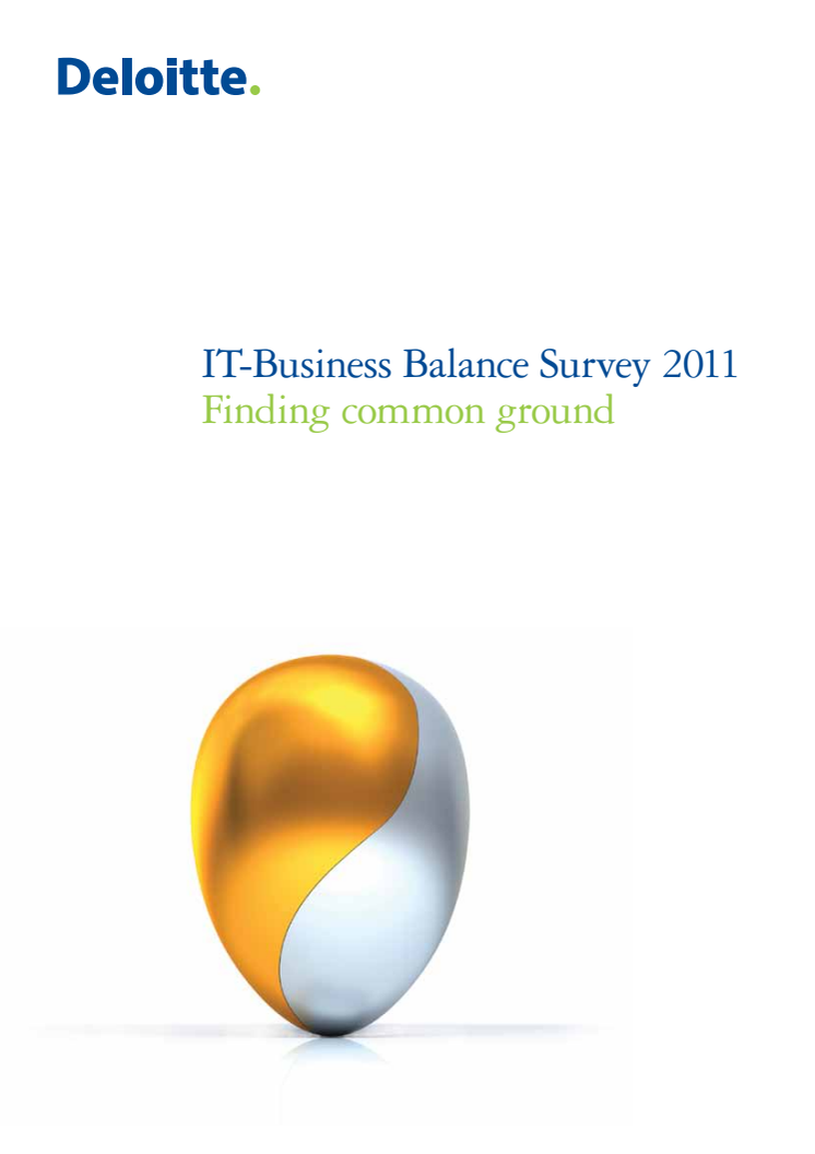 IT-Balance Survey 2011