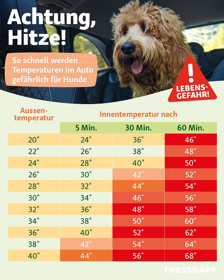 Infografik_Hitzefalle_Auto