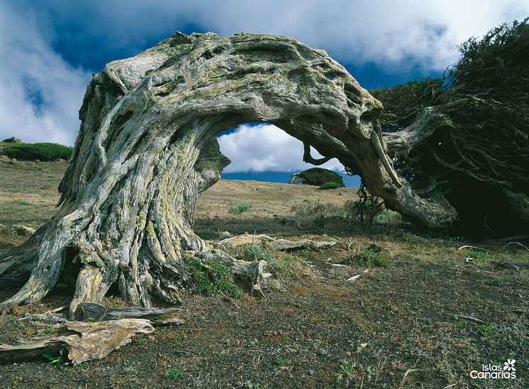 EL-HIERRO-SABINAR-HR