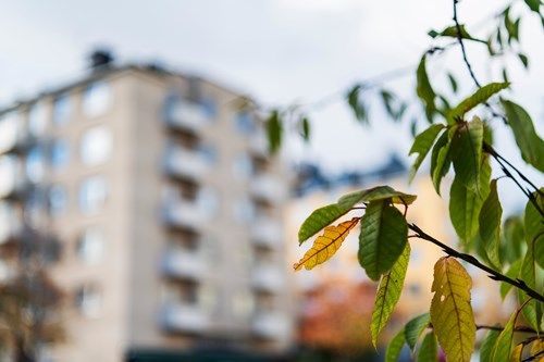 hus-med-löv-i-förgrunden_dsc6707