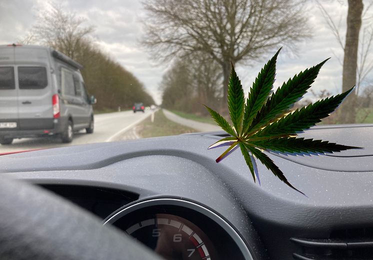 PM Foto Cannbisgesetz jpg