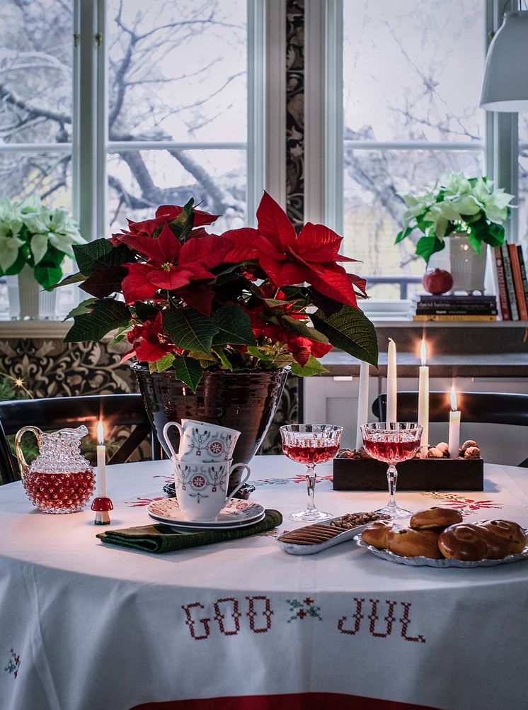 7. Julstämning med stjärnor tolkat av Åsa Myrberg, atmycasa