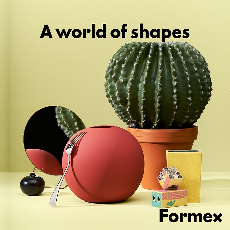 Formex - a world of shapes