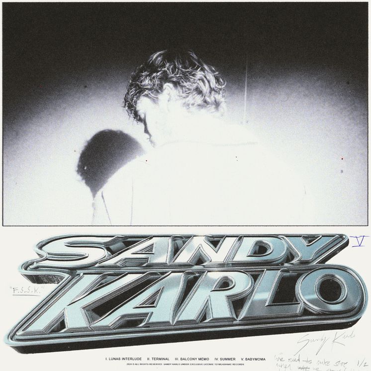 Sandy Karlo artwork.jpg