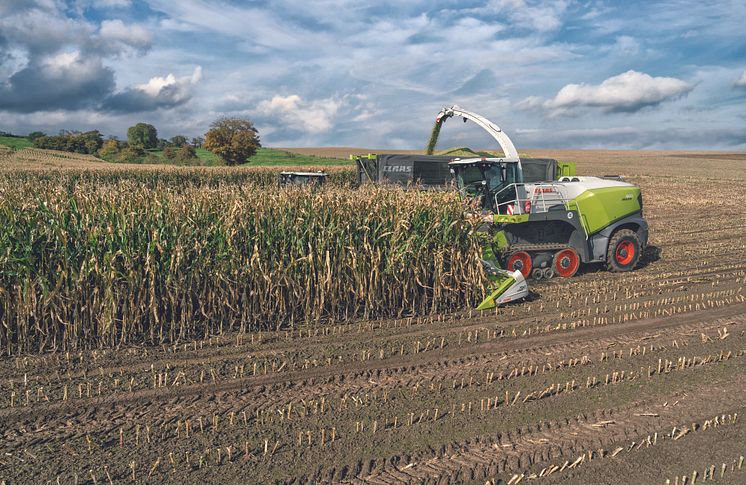 Terra trac