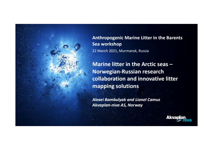 A Bambulyak MALINOR-DIMARC-ArcToMal 2021-03-22.pdf