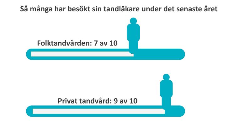 SKI 2019 tandläkarbesök senaste året