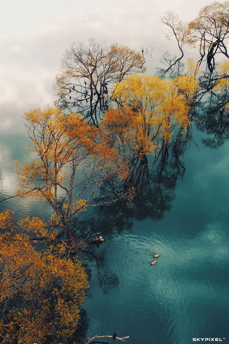 2018 SkyPixel Contest-People's Choice Prize-Always together