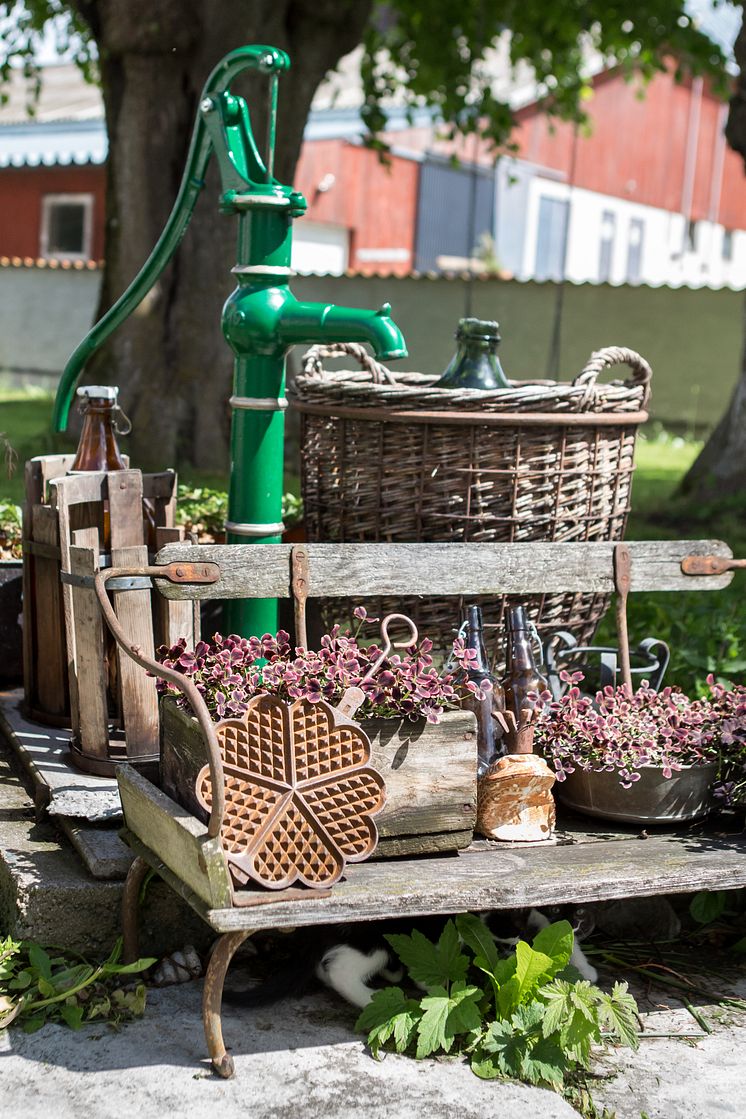 Idylle in der gotländischen Stadt Visby