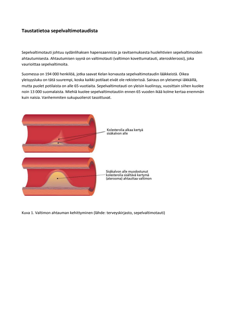 Taustatietoa sepelvaltimotaudista