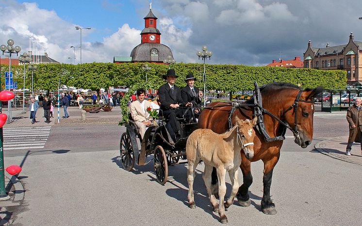Häst Vagn på stan Foto Destination Läckö-Kinnekulle.jpg
