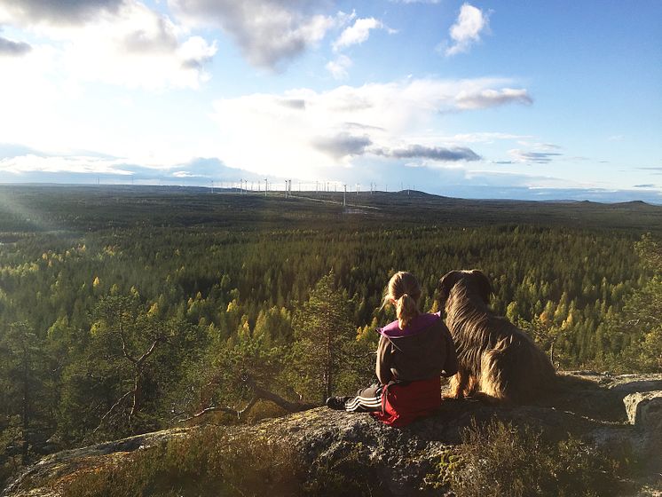 tjej_skog_vindkraft