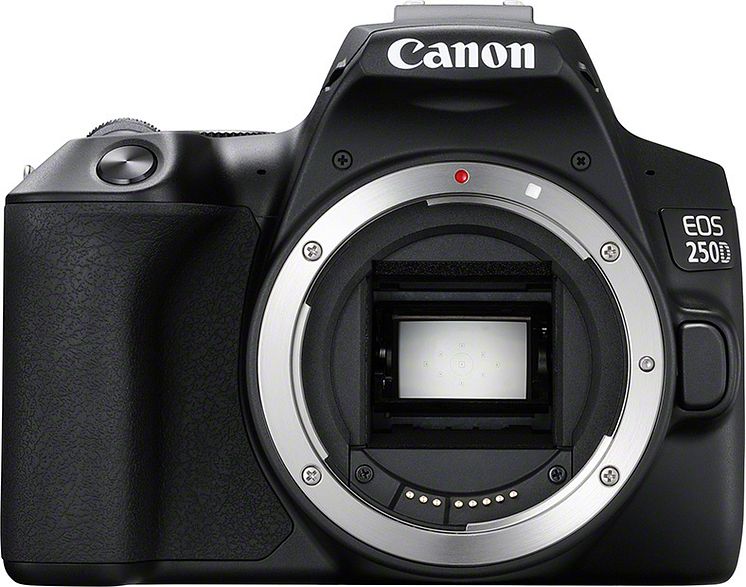 Canon EOS 250D body