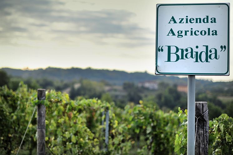 braida azienda agricola.jpg
