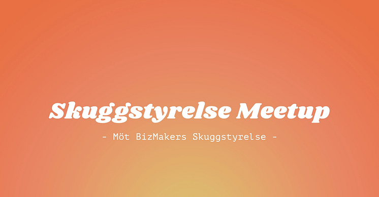 Skuggstyrelse-Meetup.png