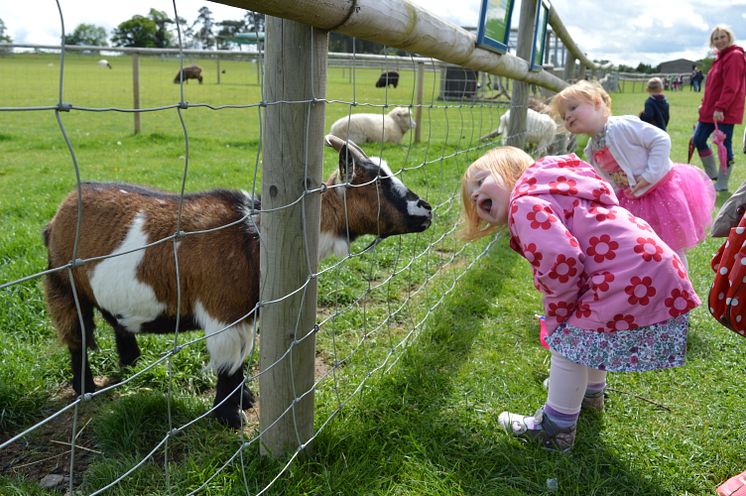 Children at Hatfield Park Farm