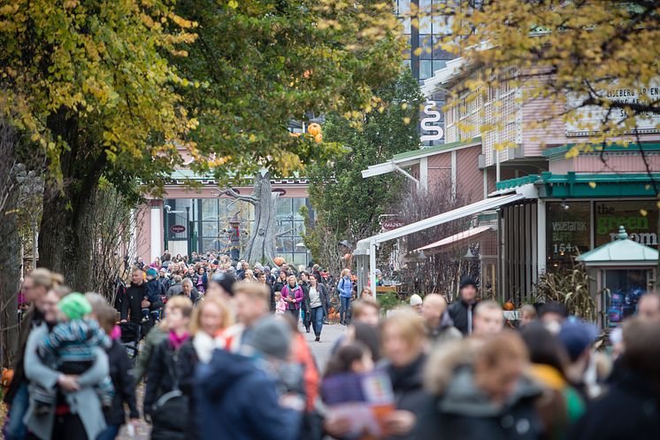 Stort intresse för Halloween på Liseberg