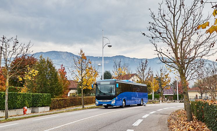 IVECO EVADYS BUSS